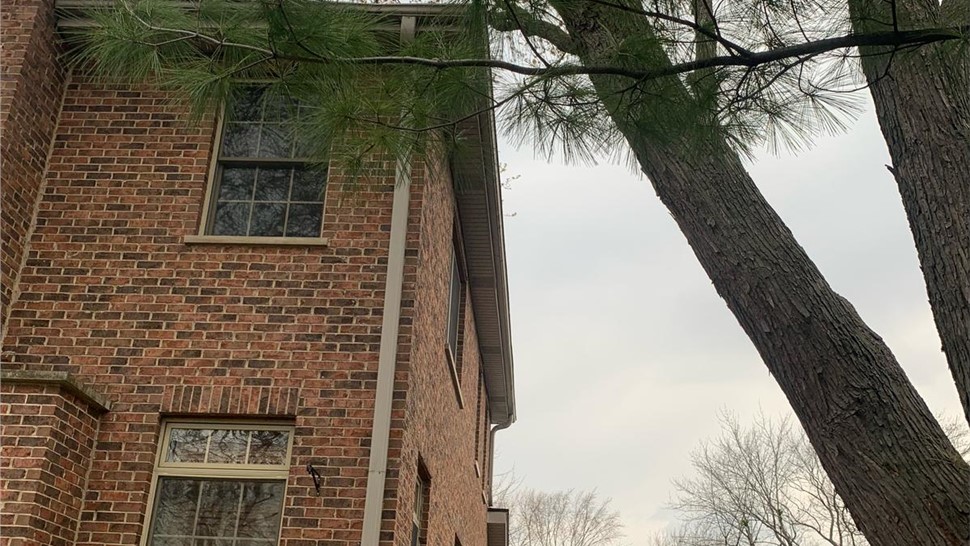 Newly installed roof and seamless gutters on a home in Arlington Heights, IL.