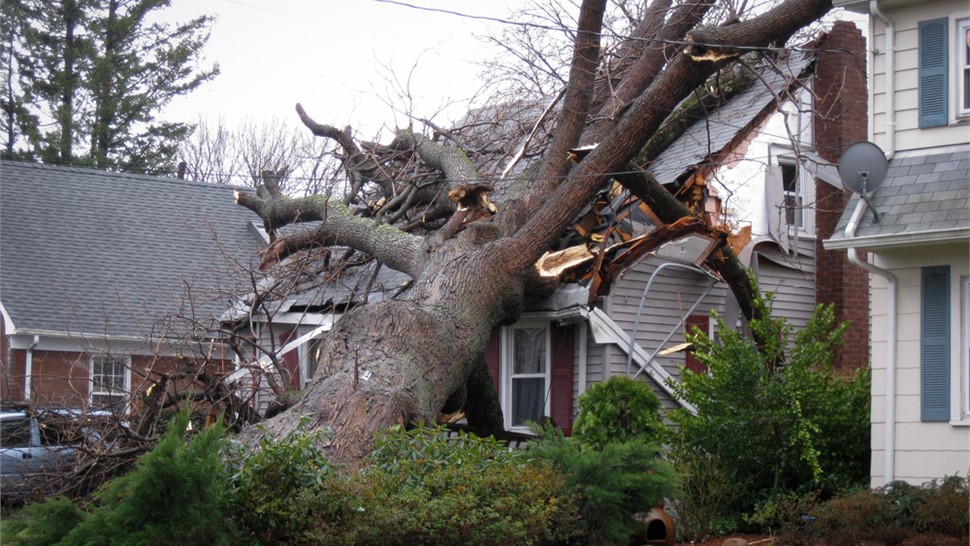 Storm Damage - Insurance Claims Photo 11