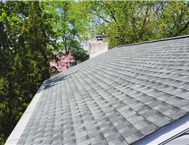 Roofing - Roof Installation Photo 85