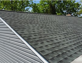 Siding - Vinyl Siding Photo 25