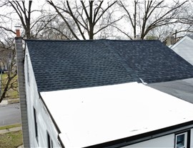 Roofing - Roof Types Photo 72