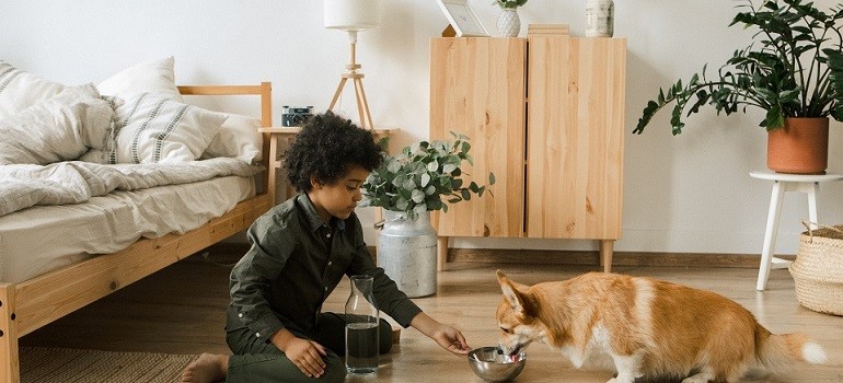 Child feeding a corgi in a bedroom