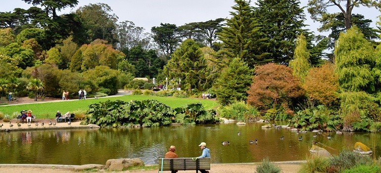 Golden Gate park in the fall