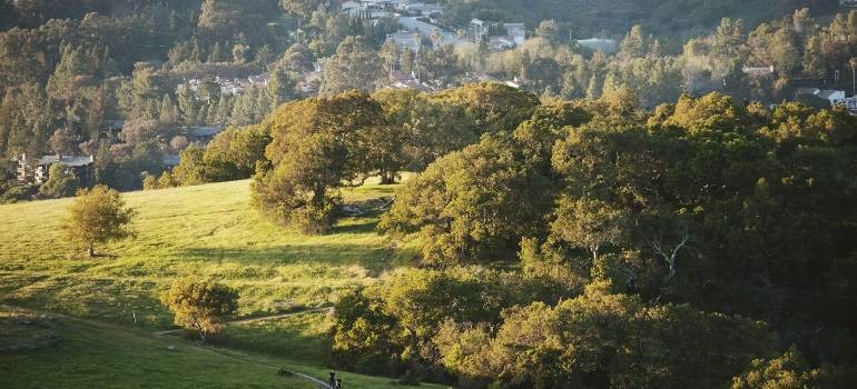 Moving to Redwood City: A full checklist and guide