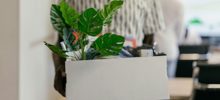Benefits of moving your office near Redwood City’s waterfront