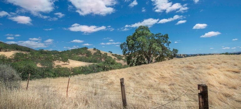 Landscape in rural California 