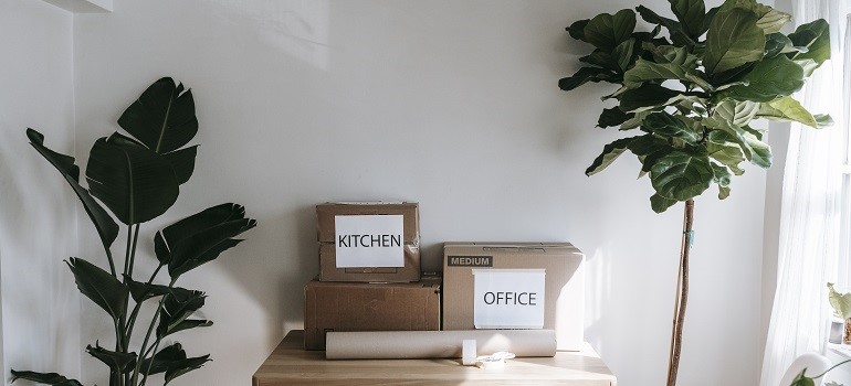 moving boxes in a home