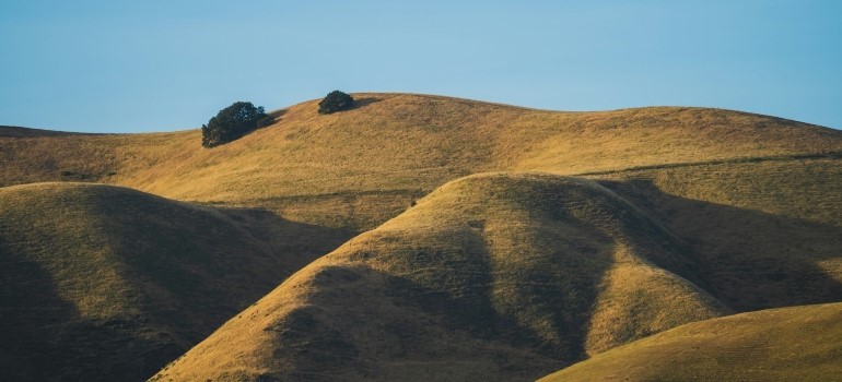 Hills in Fremont