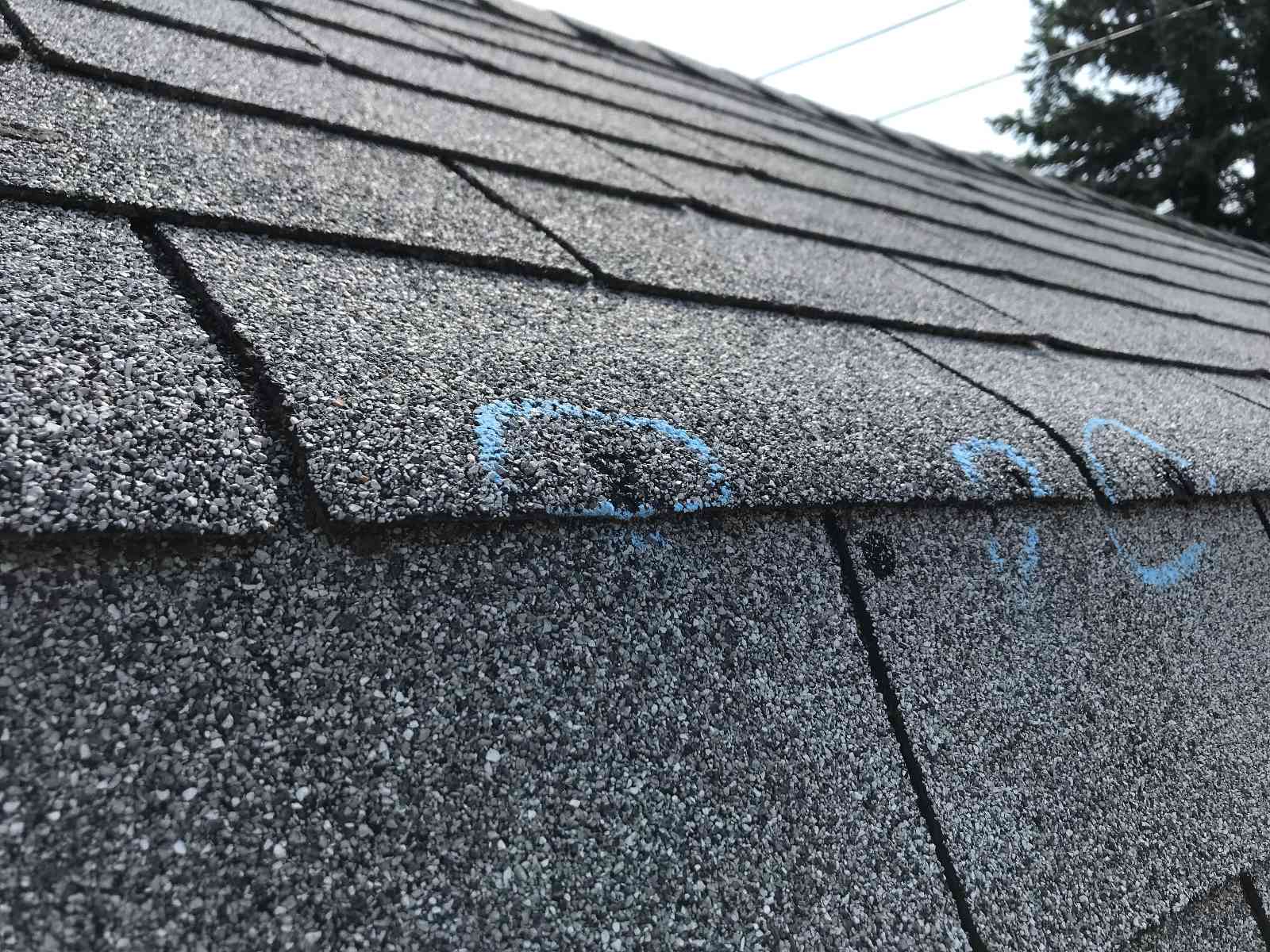 Hail Damage Repairs
