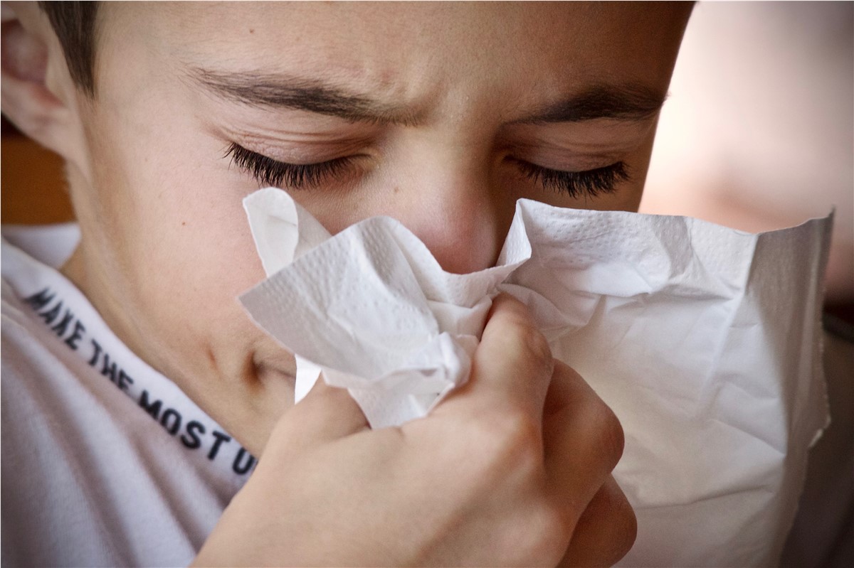 How to Allergy-Proof Your Home