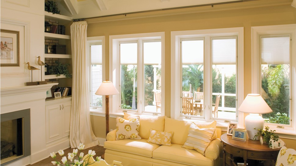 Windows - Repair/Replace Photo 1