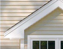 Siding - General/Vinyl Photo 4