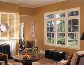 Windows - Repair/Replace Photo 2