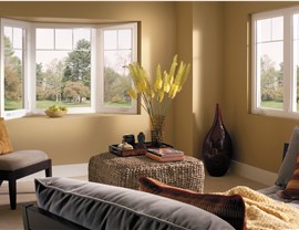 Windows - Repair/Replace Photo 3