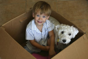 Where to get moving boxes - boy and dog sitting in a box