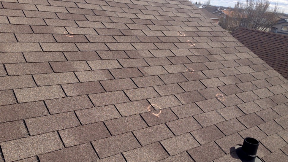 Storm Damage Photo 15