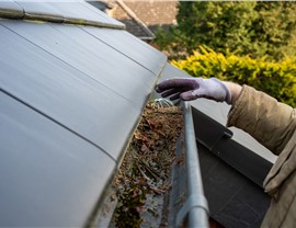 Gutter Cleaning Photo 48