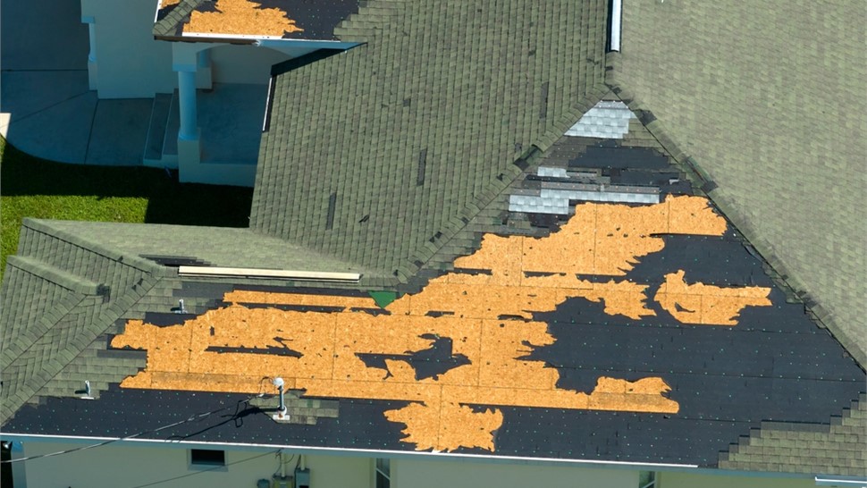 Hurricane Damage Photo 39