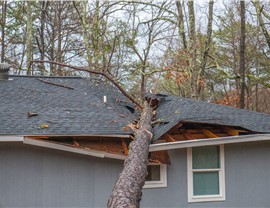 Storm Damage Photo 22