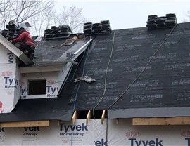 Columbia MD Photo 58