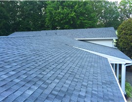 Ferndale MD Photo 43