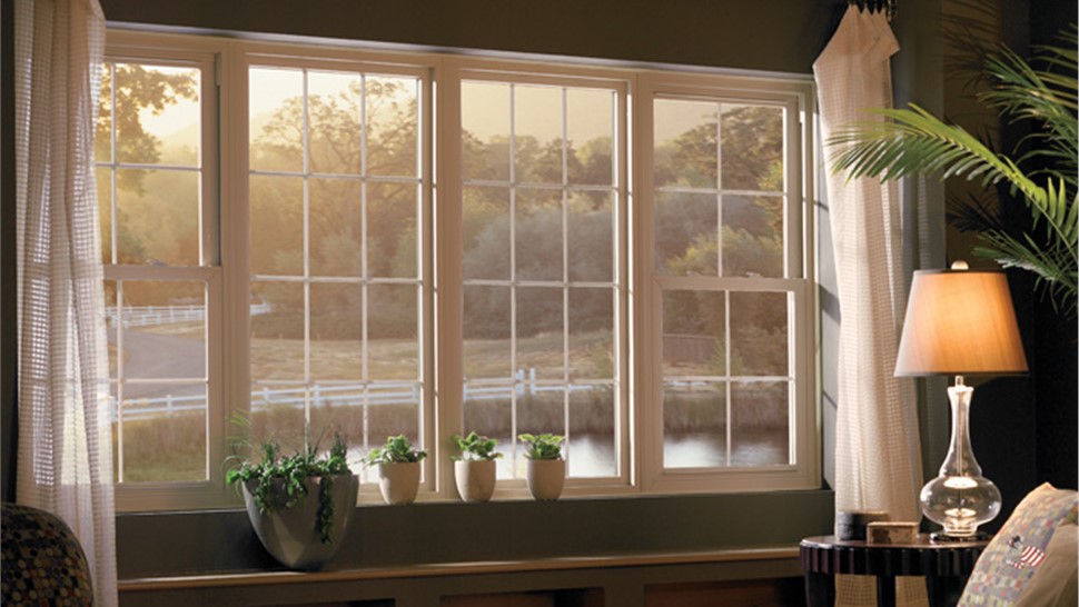 Replacement Windows Photo 2