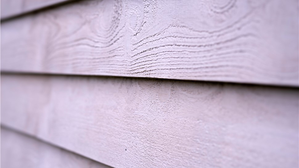 Siding - Cedar and Wood Photo 1