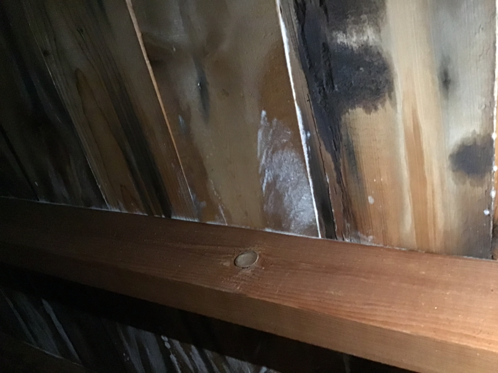 Water damage in attic is a sign you need a new roof 