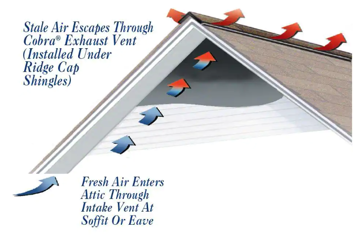 Stale air escapes through cobra exhaust vent and fresh air enters attic through intake vent at soffit or eave, creating effective ventilation 