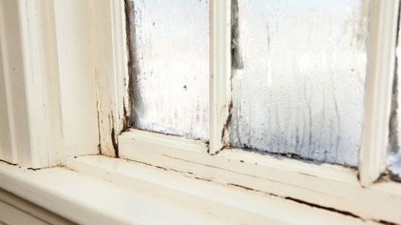 water in window, chipping paint and foggy window, old windw