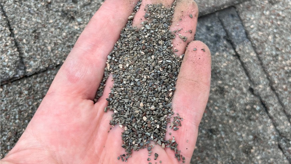 Loose granules from shingles damaged by hail in Erie Colorado