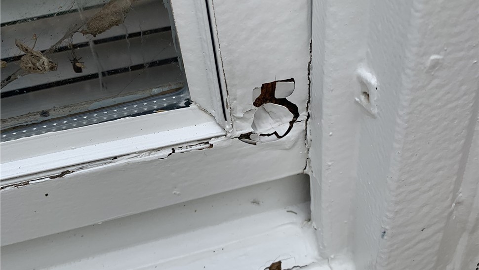 Rotted wood window corner and frame before replacement in Longmont Colorado