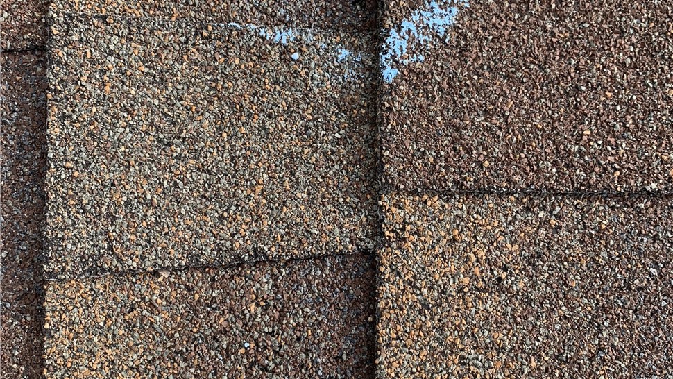 Original roof shingles with hail damage marked for inspection in Longmont, Colorado