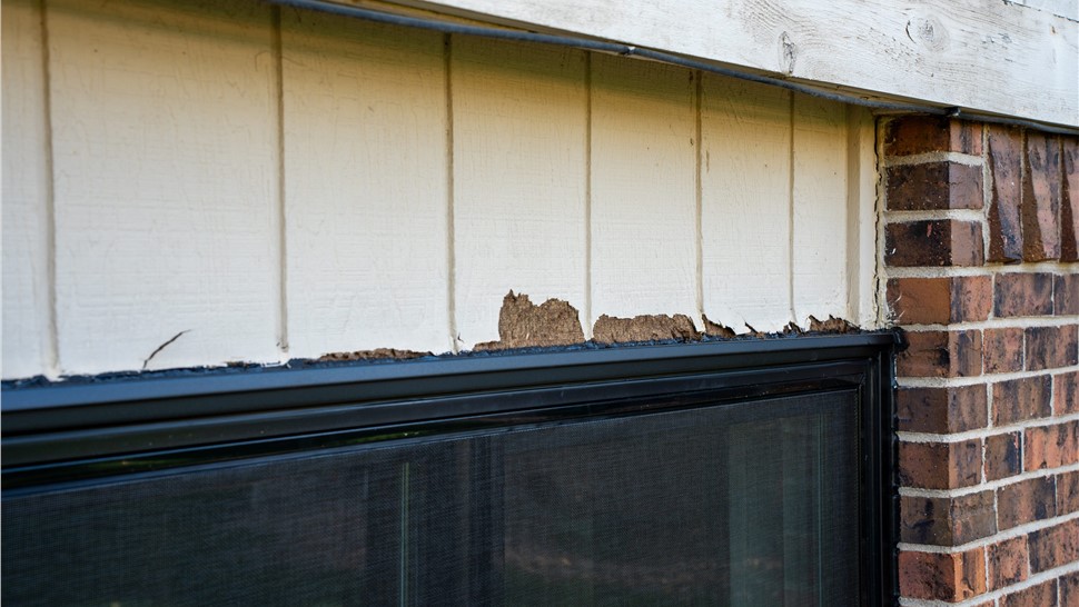 Damaged and warping original siding on a Westminster, CO home