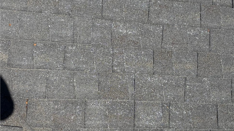 Deteriorated roof with granule loss on home before roof replacement in Loveland Colorado