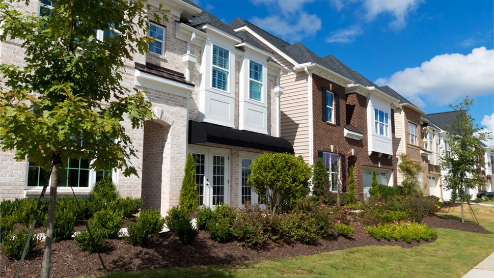 Windows - Condo Windows Photo 1