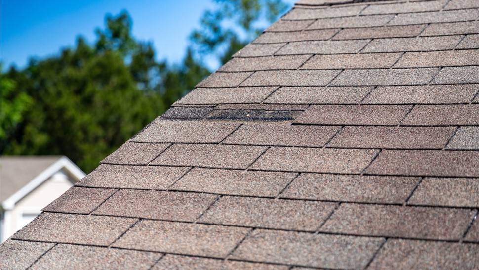 Storm Damage Photo 25