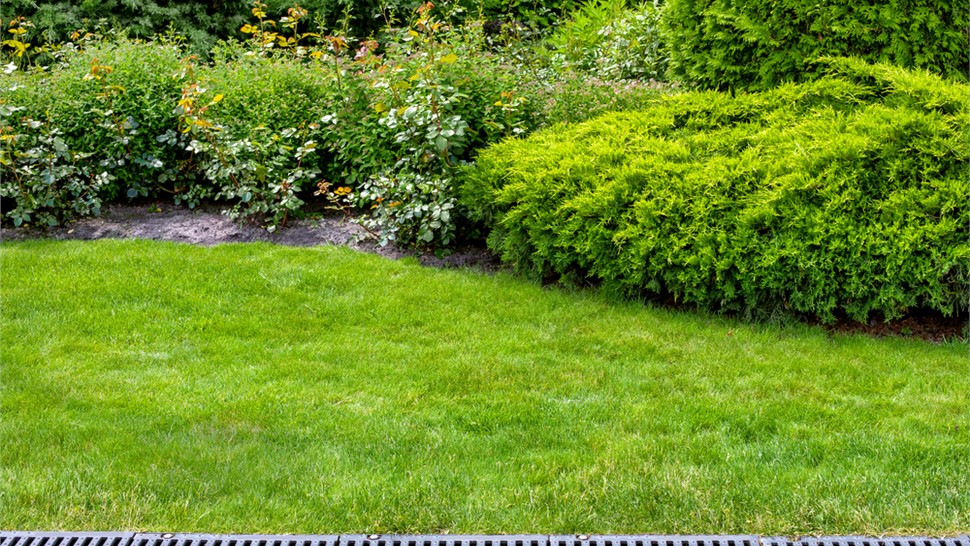 Outdoor Living Photo 66