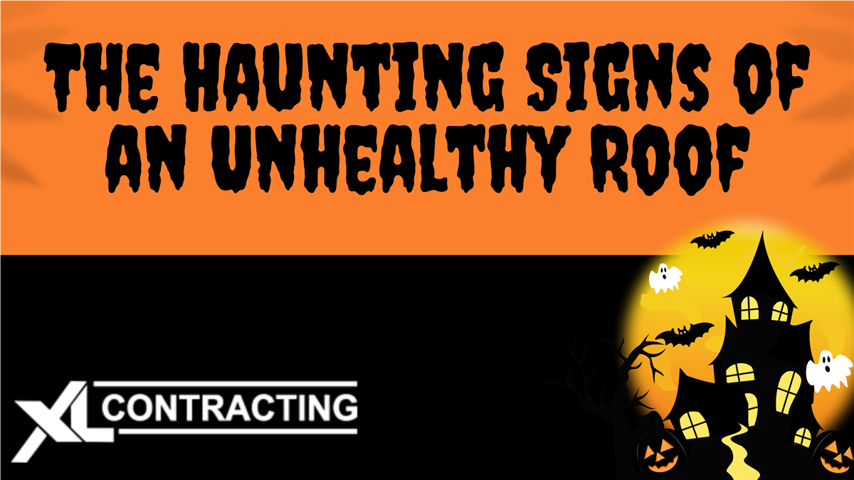 The Haunting Signs of an Unhealthy Roof