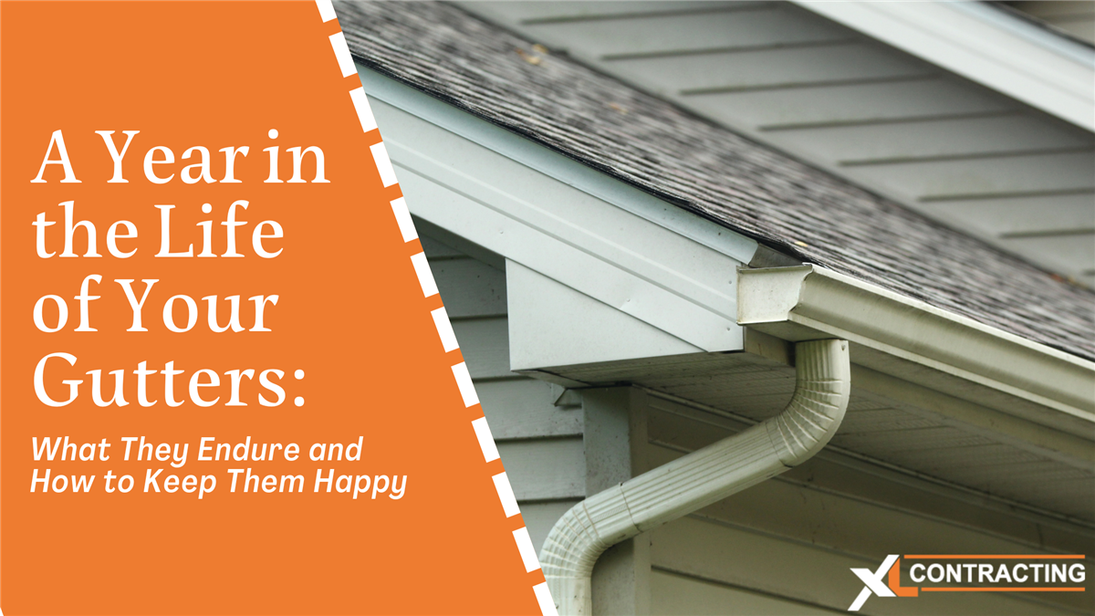 A Year in the Life of Your Gutters: What They Endure and How to Keep Them Happy