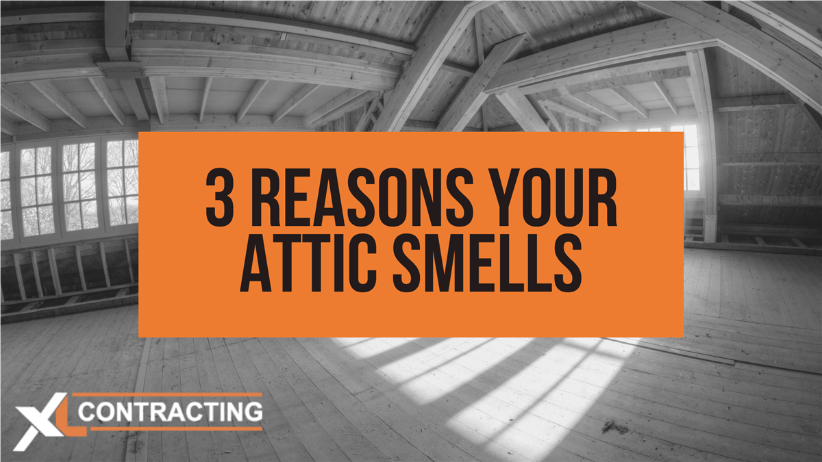 3 Reasons Your Attic Smells