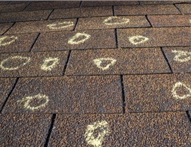 Roofing - Roofing Contractor Photo 3